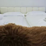 W&v Living Apartmán Olomouc
